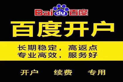 专业SEM服务托管方案案例分析